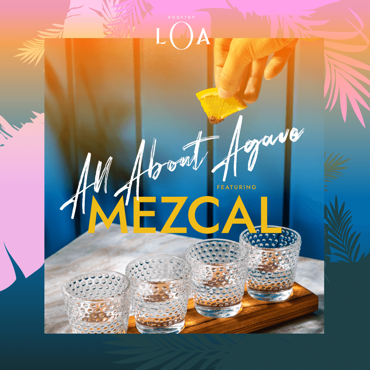All about agave featuring Mezcal
